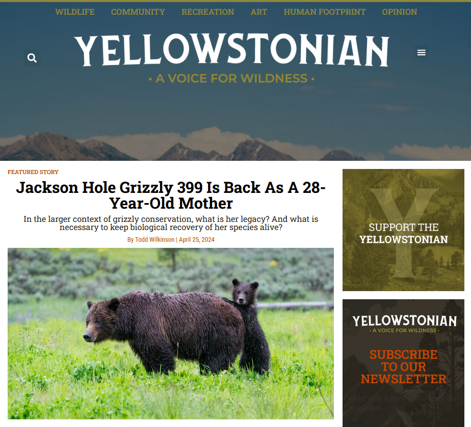 Yellowstonian