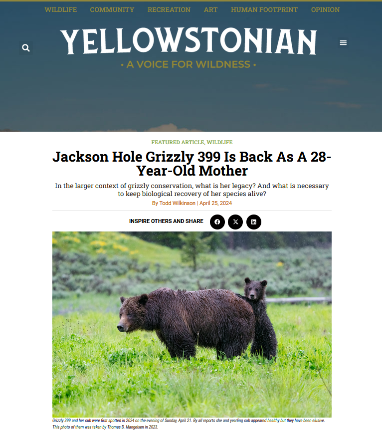 Yellowstonian