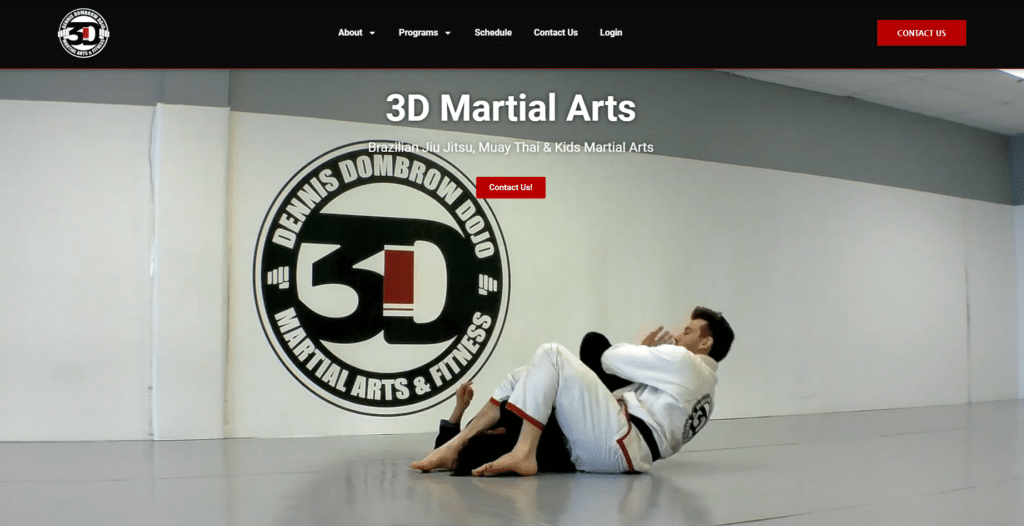 3D Martial Arts Homepage Hero